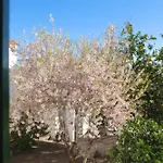 La Palma By